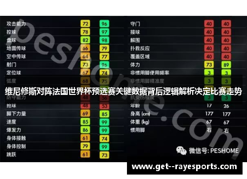 维尼修斯对阵法国世界杯预选赛关键数据背后逻辑解析决定比赛走势